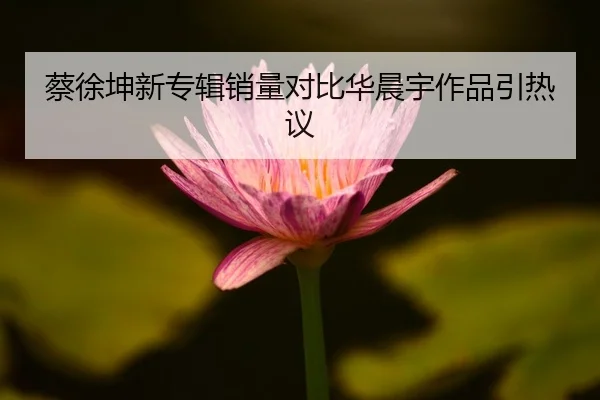 cai-xu-kun-xin-zhuan-ji-xiao-liang-dui-bi-hua-chen-yu-zuo-pin-yin-re-yi-2-942.jpg