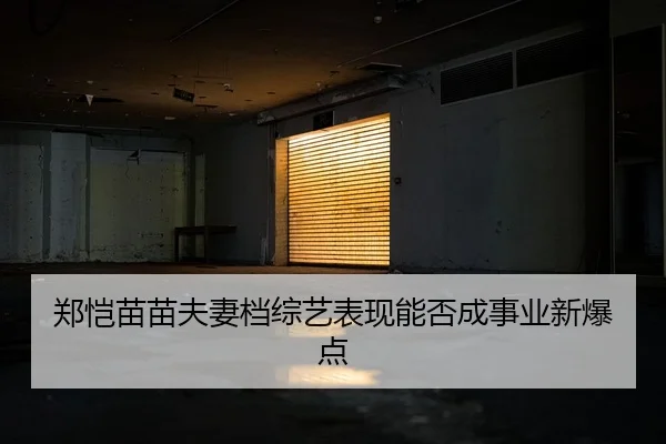 郑恺苗苗夫妻档综艺表现能否成事业新爆点