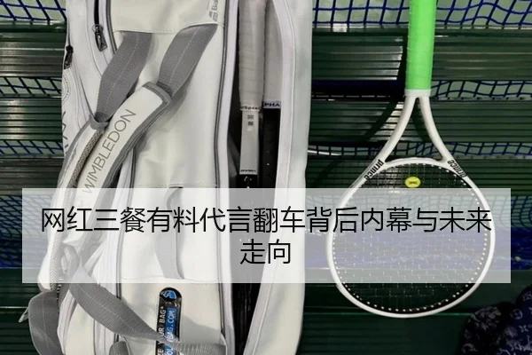 网红三餐有料代言翻车背后内幕与未来走向